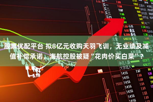 股票优配平台 拟8亿元收购天羽飞训，无业绩及减值补偿承诺，海航控股被疑“花肉价买白菜”？