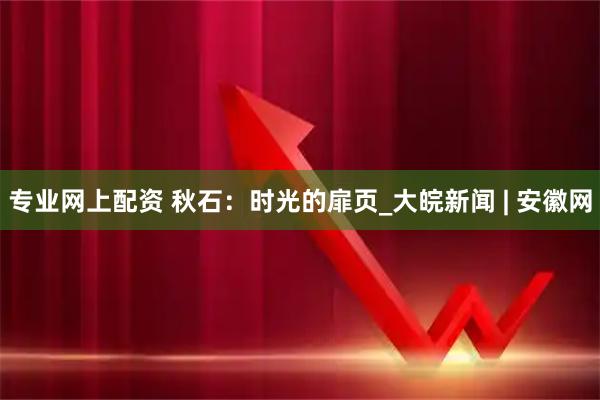 专业网上配资 秋石：时光的扉页_大皖新闻 | 安徽网